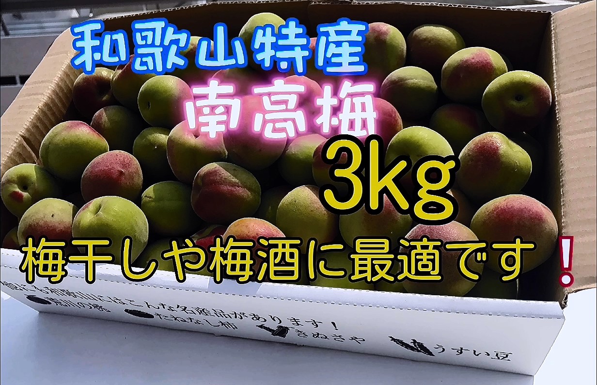 フルーツマイスターみかん屋さま確認用 みかん販売 フルーツマイスターみかん屋