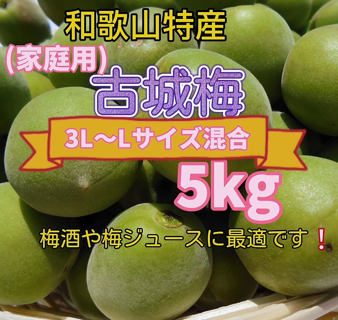 みかん販売 フルーツマイスターみかん屋